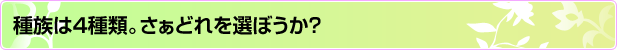 �푰��4��ށB�����ǂ��I�ڂ����H