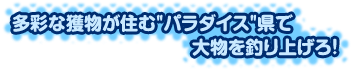 ���ʂȊl�����Z�ށh�p���_�C�X�h���ő啨��ނ�グ��I