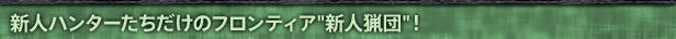 �V�l�n���^�[���������̃t�����e�B�A�V�l�c�I